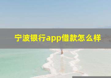 宁波银行app借款怎么样