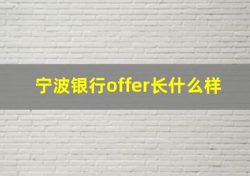 宁波银行offer长什么样