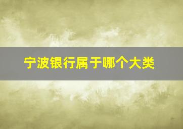 宁波银行属于哪个大类