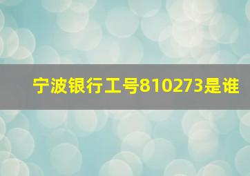 宁波银行工号810273是谁