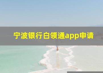 宁波银行白领通app申请