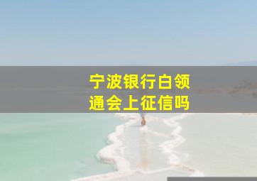 宁波银行白领通会上征信吗