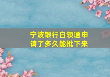 宁波银行白领通申请了多久能批下来