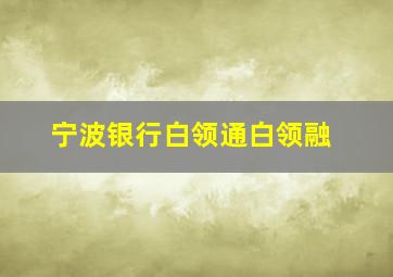 宁波银行白领通白领融