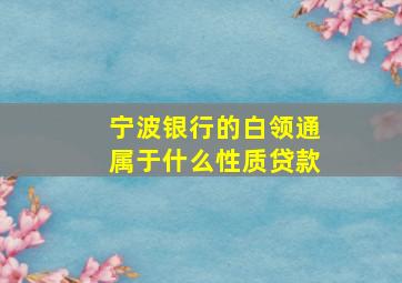 宁波银行的白领通属于什么性质贷款