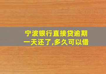 宁波银行直接贷逾期一天还了,多久可以借