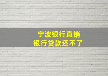 宁波银行直销银行贷款还不了