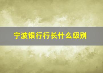 宁波银行行长什么级别