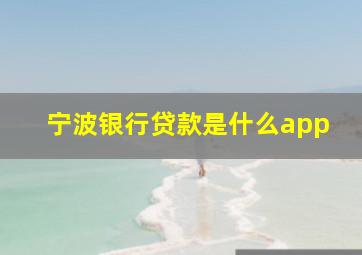 宁波银行贷款是什么app