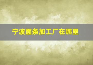 宁波面条加工厂在哪里