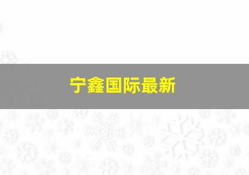 宁鑫国际最新