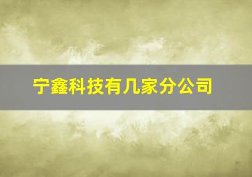 宁鑫科技有几家分公司