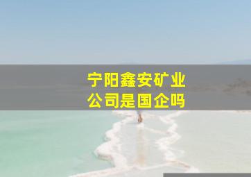 宁阳鑫安矿业公司是国企吗