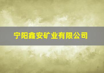 宁阳鑫安矿业有限公司