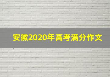 安徽2020年高考满分作文