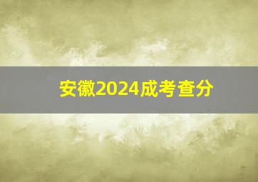 安徽2024成考查分