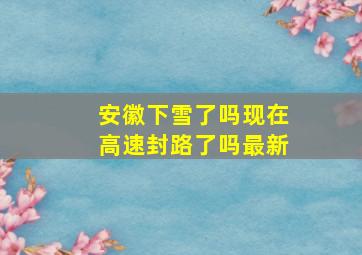 安徽下雪了吗现在高速封路了吗最新