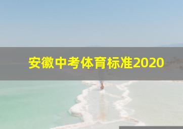 安徽中考体育标准2020