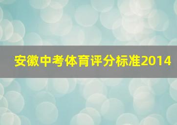 安徽中考体育评分标准2014