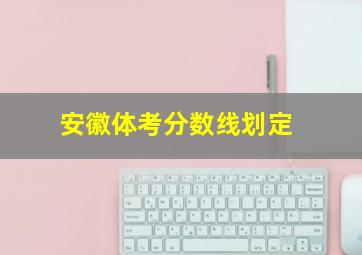 安徽体考分数线划定