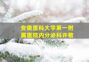 安徽医科大学第一附属医院内分泌科许敏