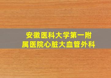 安徽医科大学第一附属医院心脏大血管外科