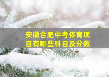 安徽合肥中考体育项目有哪些科目及分数