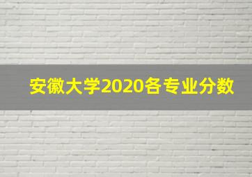 安徽大学2020各专业分数