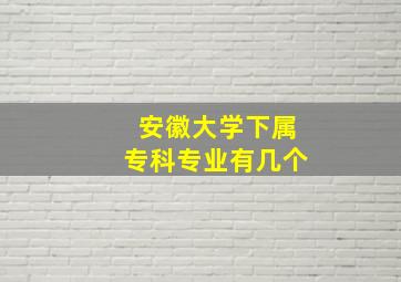 安徽大学下属专科专业有几个