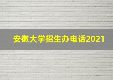 安徽大学招生办电话2021