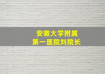 安徽大学附属第一医院刘院长