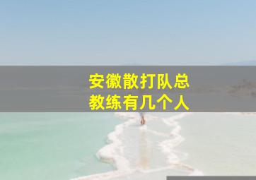 安徽散打队总教练有几个人