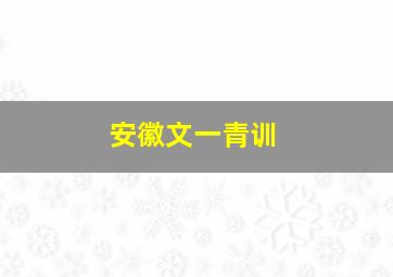 安徽文一青训