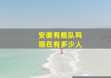 安徽有舰队吗现在有多少人