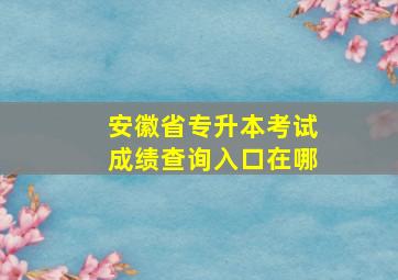 安徽省专升本考试成绩查询入口在哪