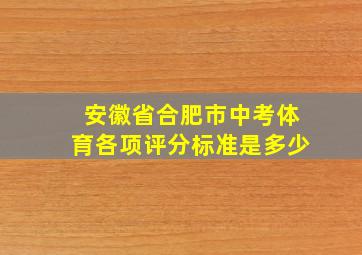 安徽省合肥市中考体育各项评分标准是多少