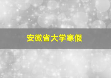 安徽省大学寒假