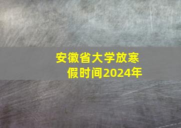 安徽省大学放寒假时间2024年