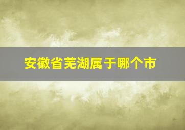 安徽省芜湖属于哪个市