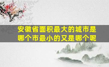 安徽省面积最大的城市是哪个市最小的又是哪个呢