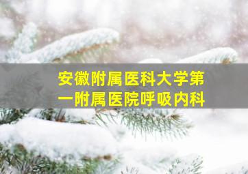 安徽附属医科大学第一附属医院呼吸内科