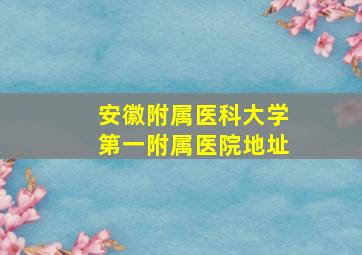 安徽附属医科大学第一附属医院地址