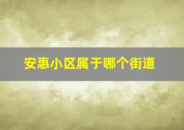 安惠小区属于哪个街道