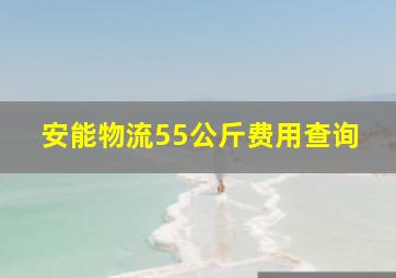 安能物流55公斤费用查询