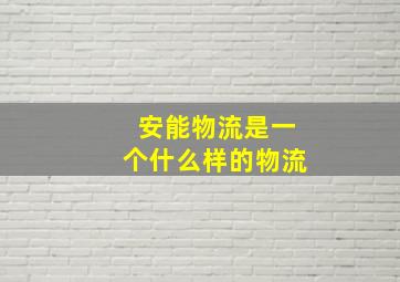 安能物流是一个什么样的物流