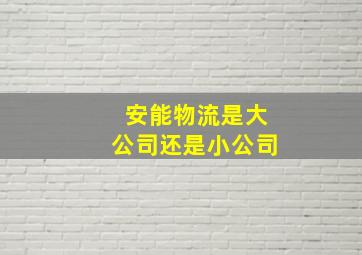 安能物流是大公司还是小公司