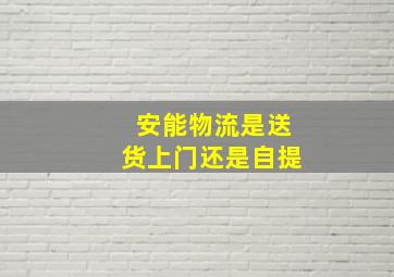 安能物流是送货上门还是自提