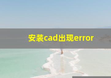 安装cad出现error