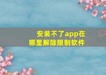 安装不了app在哪里解除限制软件