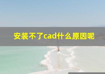 安装不了cad什么原因呢